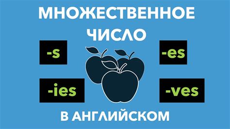 Правила и исключения