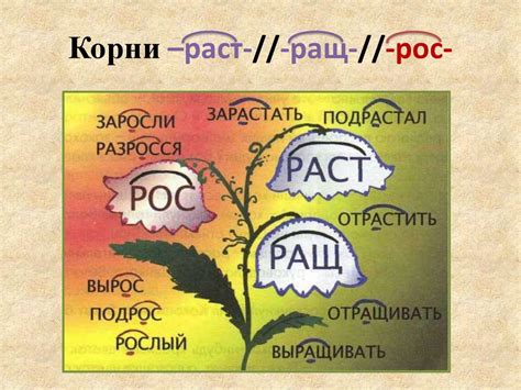 Правила написания чередующихся гласных и согласных