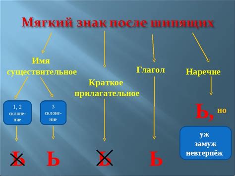 Правила расстановки мягкого знака