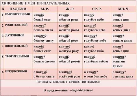 Правила склонения прилагательных по родам