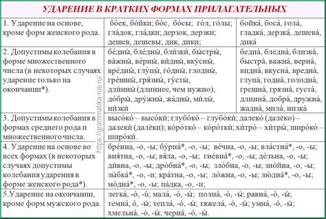 Правила ударения в словах-синонимах для "сибаса"