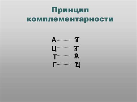 Правило комплементарности: ключевые моменты