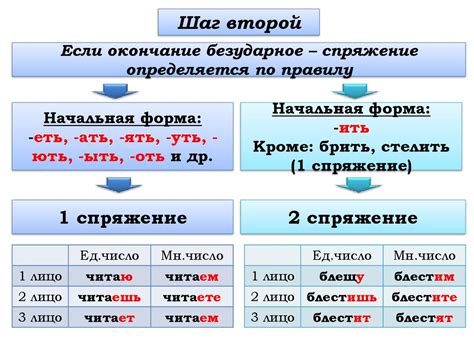 Правильное оформление личных окончаний глаголов: полезные советы