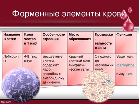 Правовой аспект разрешения крови по совести