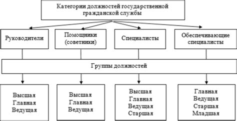 Правовой статус гражданской категории