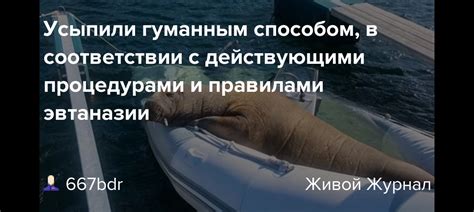 Правописание в соответствии с действующими правилами