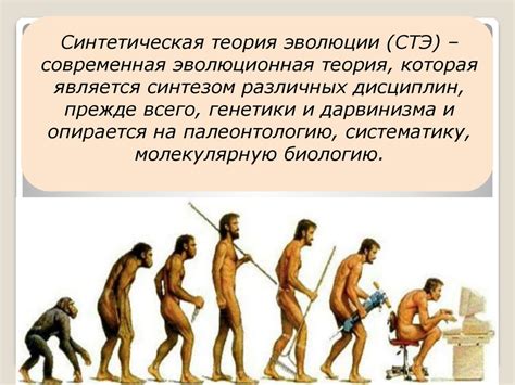 Практические аспекты работы с ночными видениями о эволюции в медитативной практике