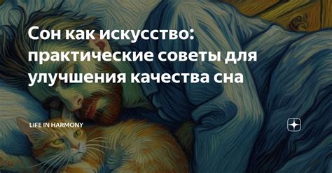 Практические рекомендации для улучшения качества сна