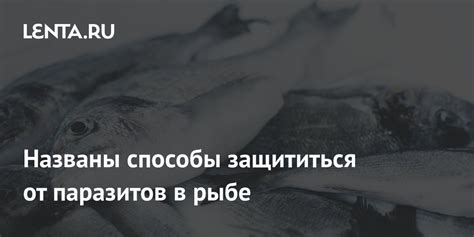 Практические советы: как поступить, если помнишь сон о пойманной рыбе