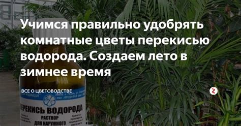 Практические советы после сна о крупном натуральном удобрении