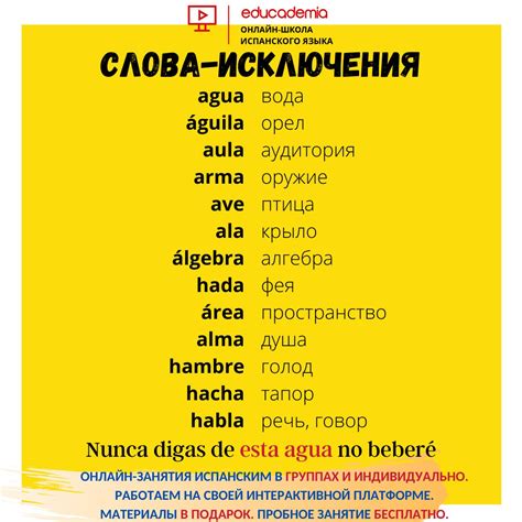 Практическое использование слова "Грасиас" в испанском языке