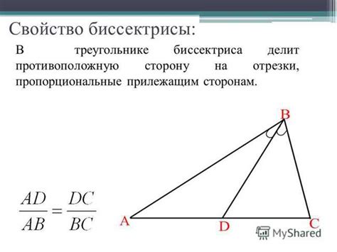 Практическое применение биссектрисы