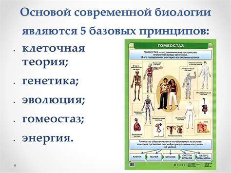 Практическое применение знаний о биологии