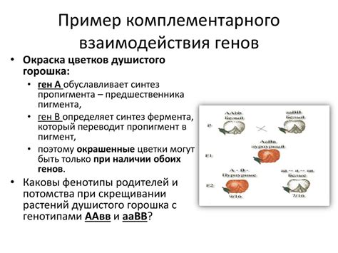 Практическое применение комплементарного взаимодействия генов