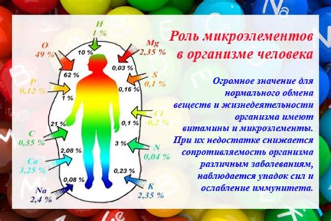 Превотеллы: почему они важны и как влияют на здоровье