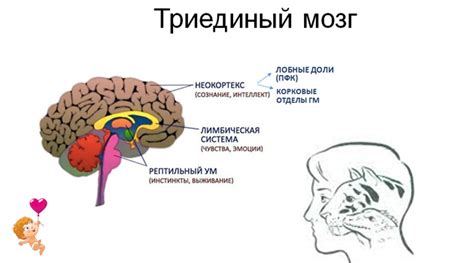 Превращение в безнравственное существо: психологическая травма