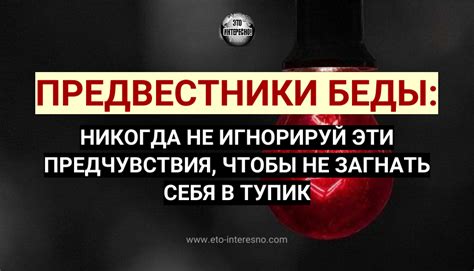 Предвестники беды или добра?