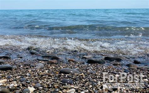 Предзнаменование событий или жизненных перемен: сновидения о купании в море с камышом