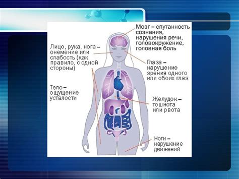 Предисловие к сердцу: его роль в организме