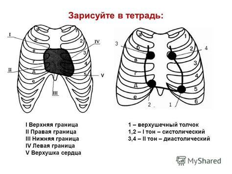 Предпосылки для открытия своего сердца