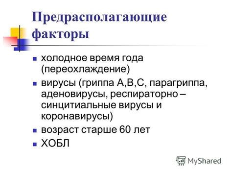 Предрасполагающие факторы в появлении седины у соболя