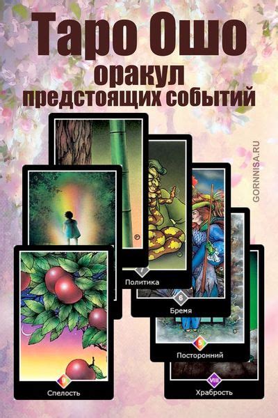 Предсказание ближайших событий после столкновения мужчины со свирепой животной