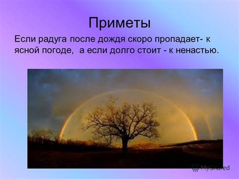 Предсказания и народные приметы, связанные с виселицей и покончившим жизнь самоубийцей