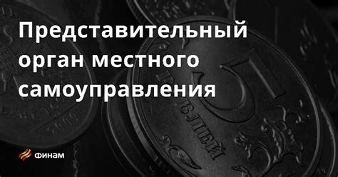 Представительный орган местного самоуправления