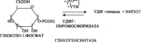 Преимущества глюкозы в спорте