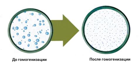 Преимущества гомогенизированного сока