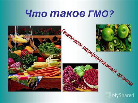 Преимущества использования ГМО