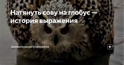 Преимущества использования выражения "натянуть сову на глобус" в текстах