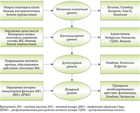 Преимущества использования гепатопротекторов в комплексной терапии