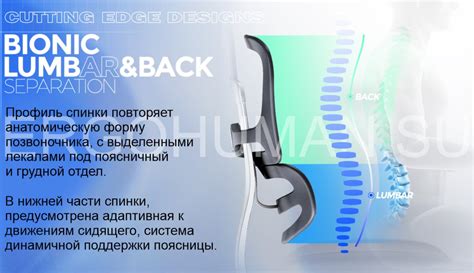 Преимущества использования ортопедической спинки