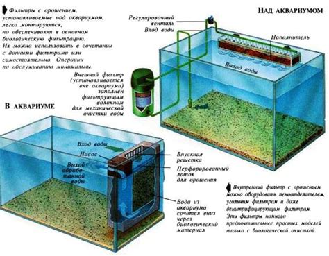 Преимущества использования полистирола в аквариуме