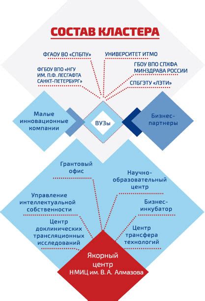 Преимущества и значение медицинского кластера