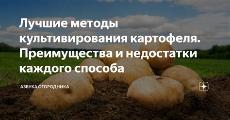 Преимущества и недостатки культивирования