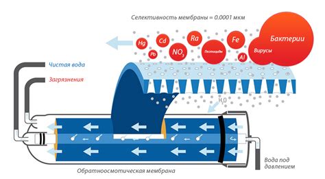 Преимущества и польза от очистки