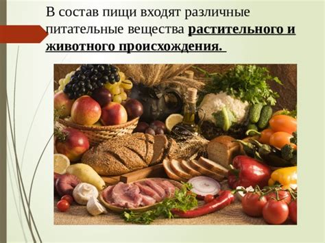 Преимущества и примеры субпродуктов растительного происхождения