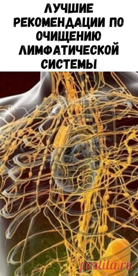 Преимущества и рекомендации по очищению лимфатической системы