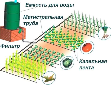 Преимущества капельного оттаивания