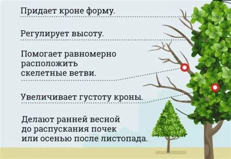 Преимущества обрезки карты