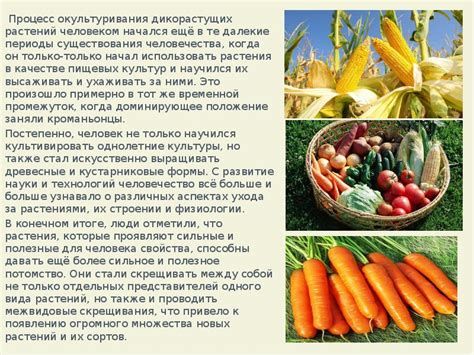 Преимущества окультуривания растений