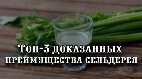 Преимущества отрицательной калорийности сельдерея