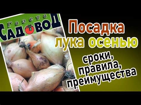 Преимущества пассировки лука