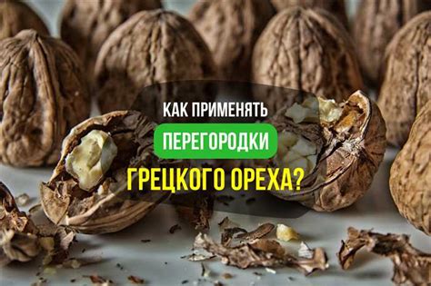 Преимущества подклада из грецкого ореха