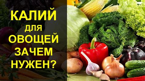 Преимущества применения сокращения veg в питании