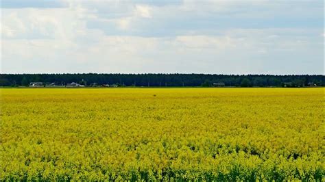 Преимущества релакс тайма для организма