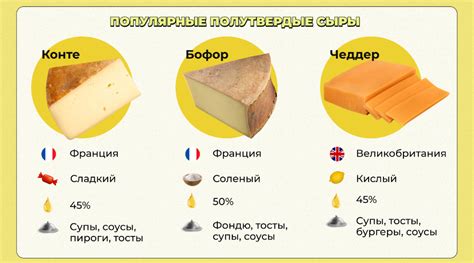 Преимущества употребления твердых сыров