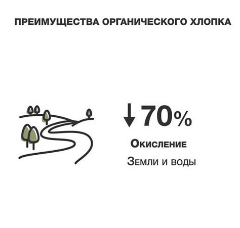 Преимущества хлопка eco